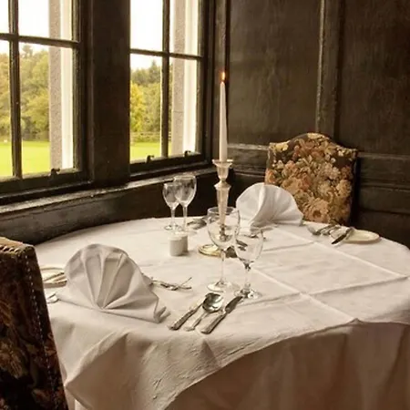 Castle Otel Kinnitty