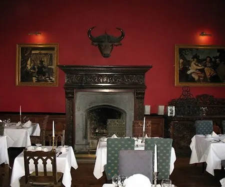 Castle فندق Kinnitty