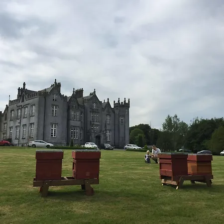 Castle