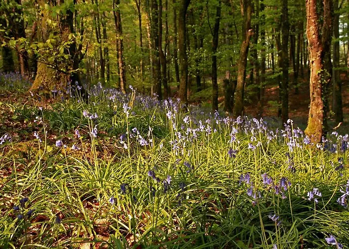 Castle Hotel Kinnitty